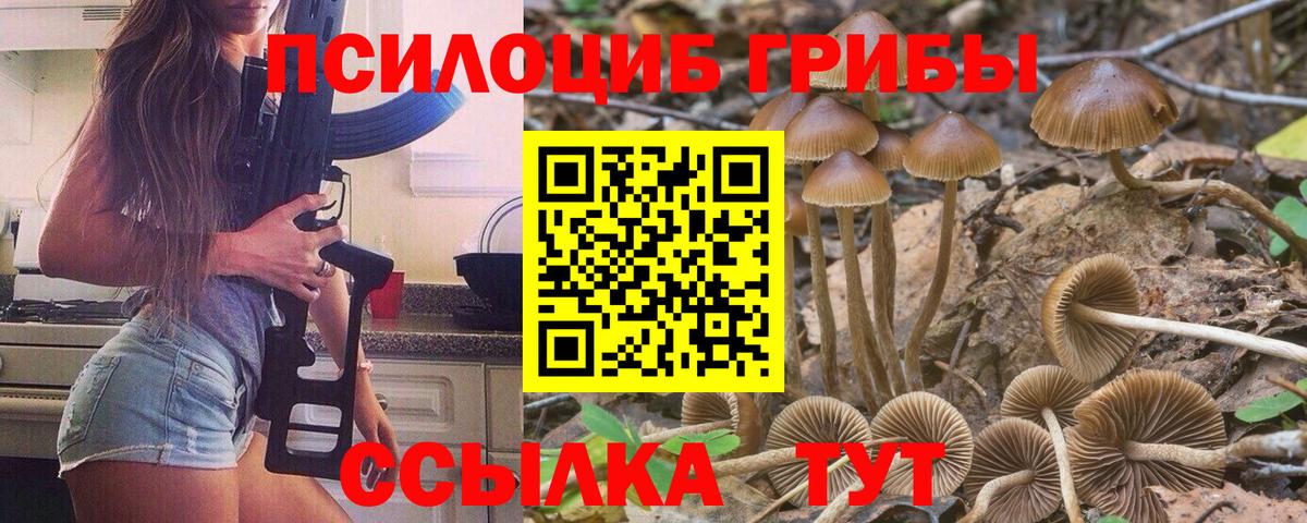 как найти наркотики  Вход с VPN  Вологда  Псилоцибиновые грибы прущие грибы 